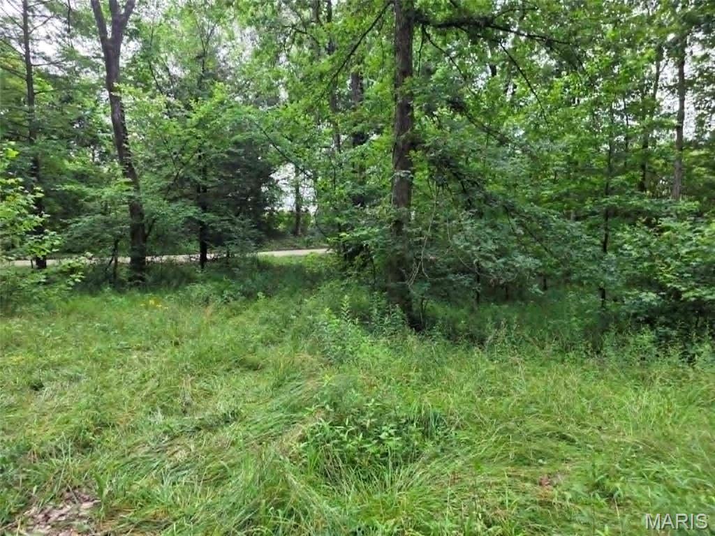 951 County Road 514 Property Photo 1