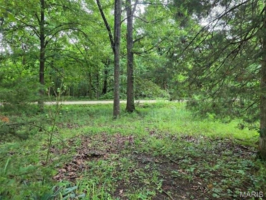 951 County Road 514 Property Photo 2