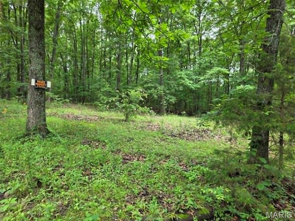 951 County Road 514 Property Photo 3