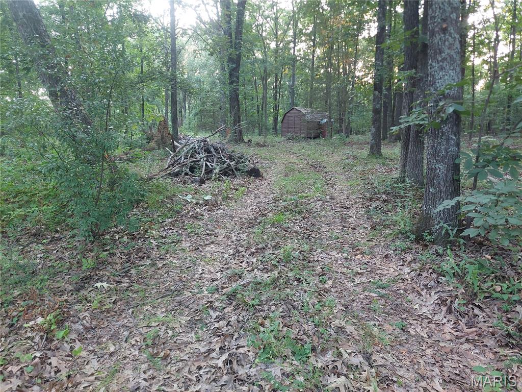 951 County Road 514 Property Photo 10