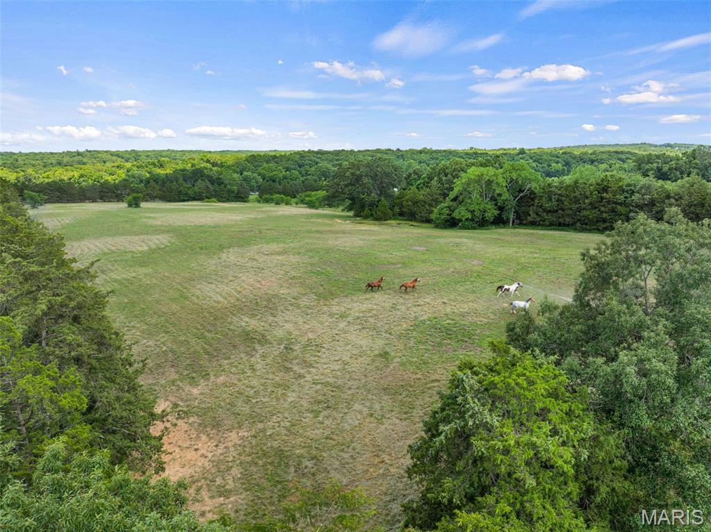 3951 Project Road Property Photo 12