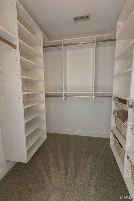 220 Woodcliffe Place Drive Property Photo 28