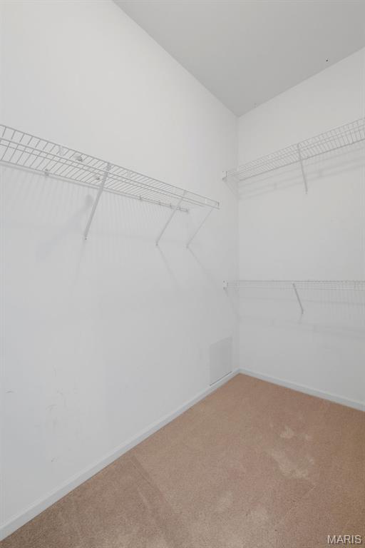 310 Morgan Meadows Lane Property Photo 46