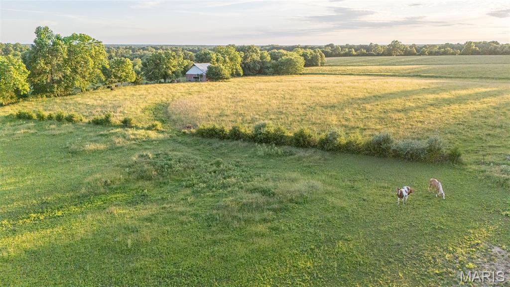 16759 Route E Property Photo 11