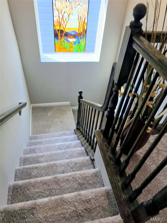 5024 Knotty Alder Drive Property Photo 15