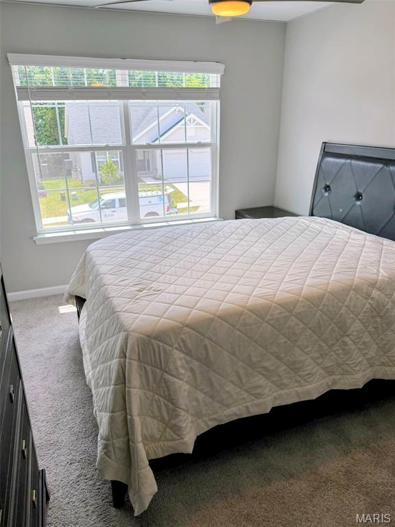 5024 Knotty Alder Drive Property Photo 27