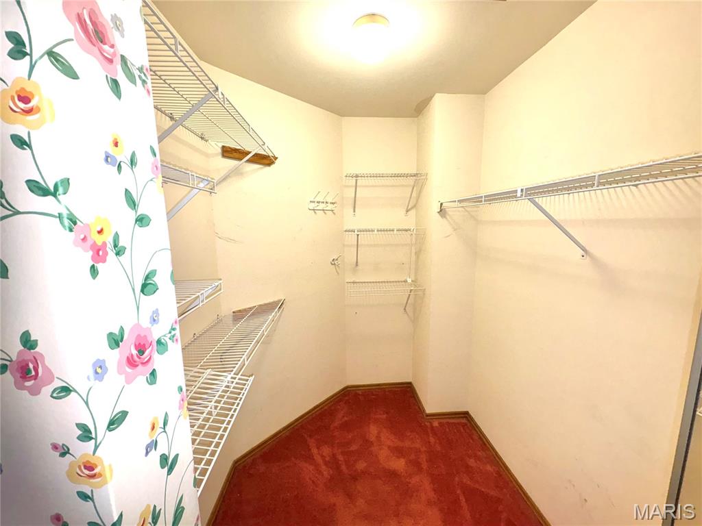 15803 Harris Ridge Court Property Photo 29