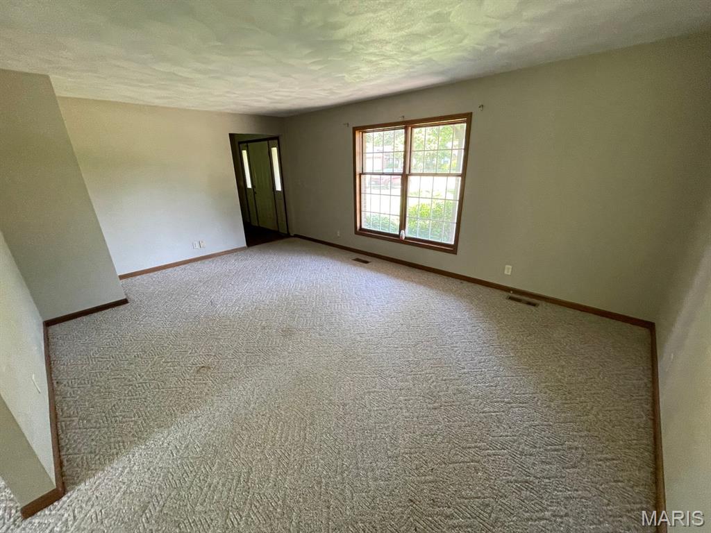 4441 Old Caseyville Road Property Photo 4