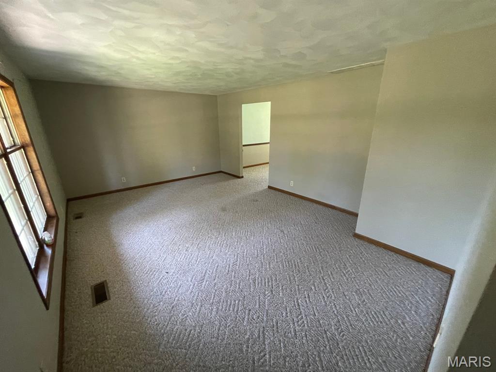 4441 Old Caseyville Road Property Photo 5