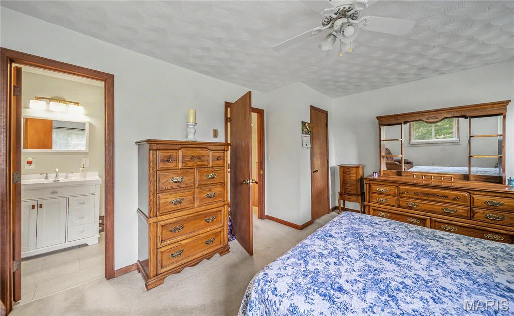 22900 State Route P Property Photo 15