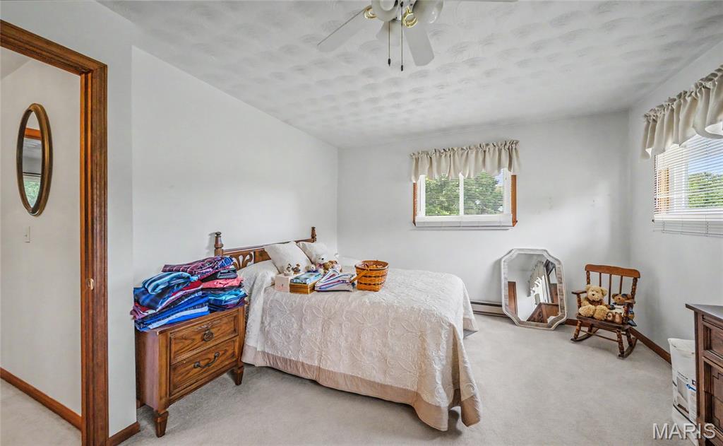 22900 State Route P Property Photo 17