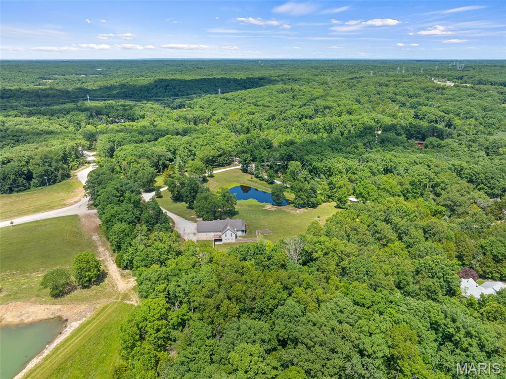 15774 Cox Road Property Photo 66