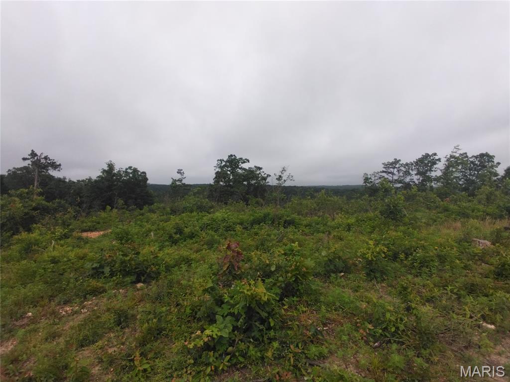 2 Off Hwy O Property Photo 1