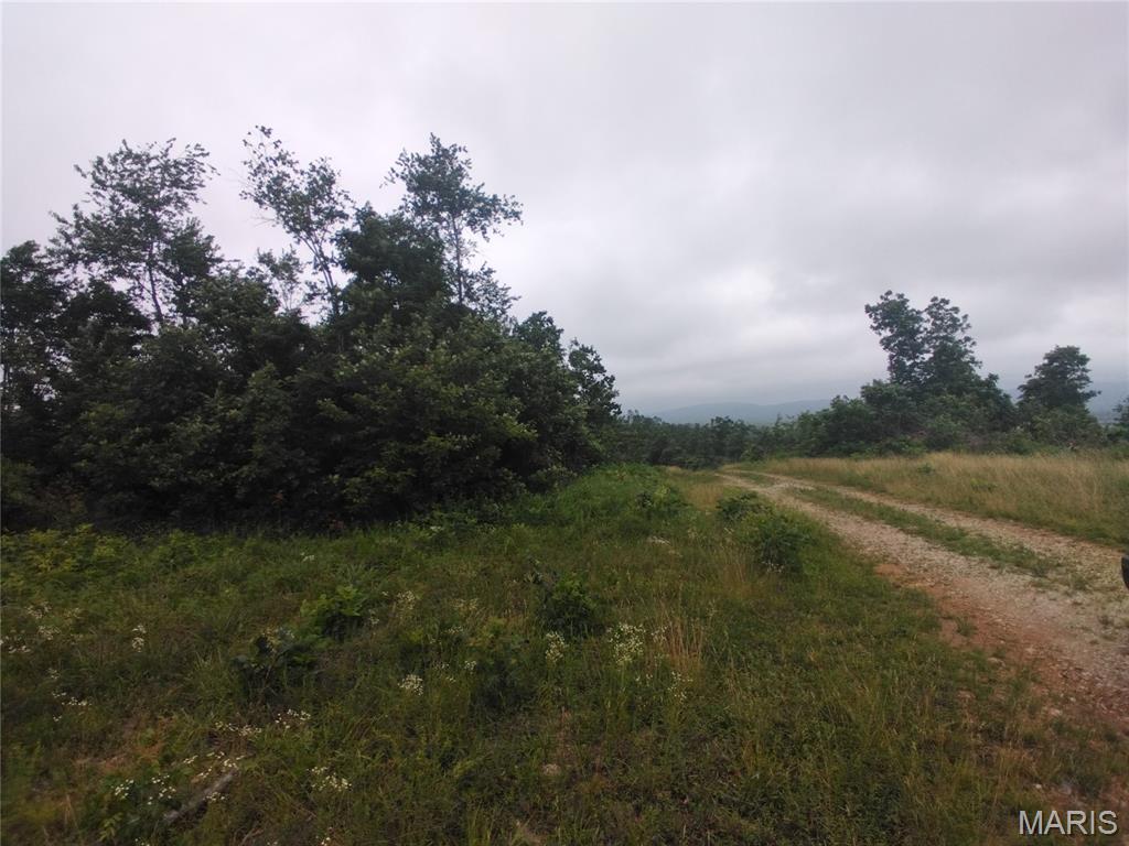 9 Tract 9 Off Highway O Property Photo 5