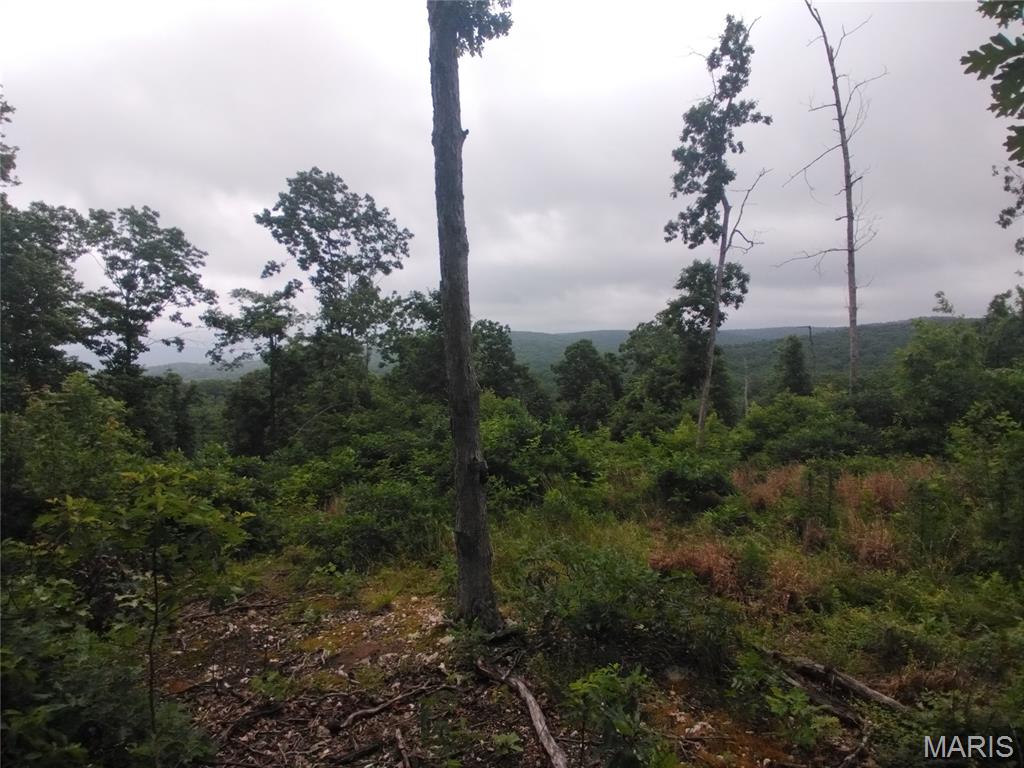 5 Tract 5 Off Hwy O Property Photo 2