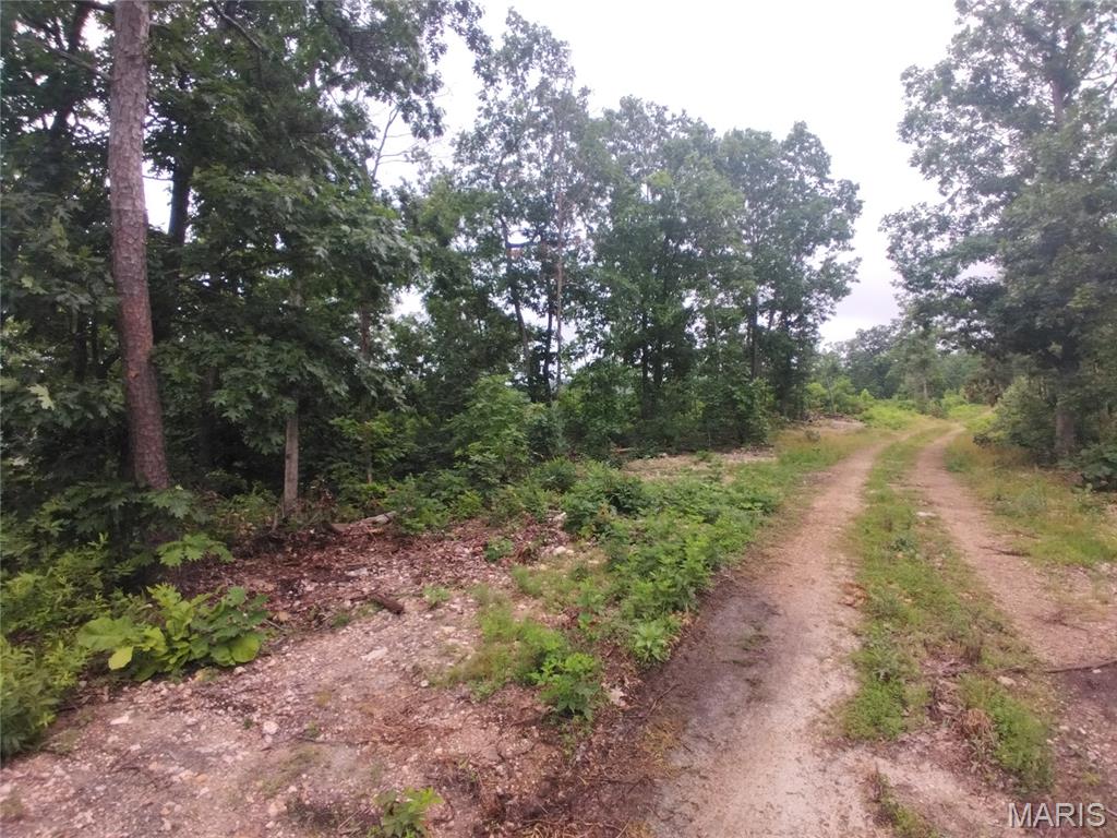 5 Tract 5 Off Hwy O Property Photo 3