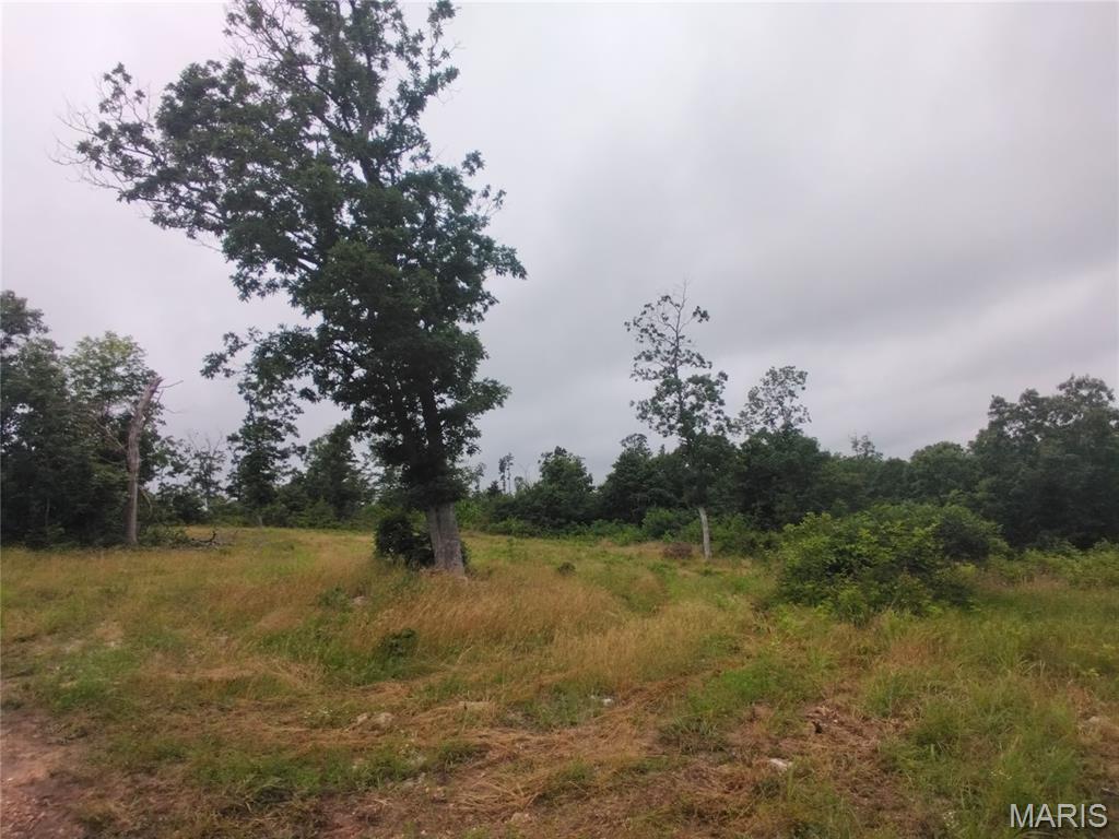 5 Tract 5 Off Hwy O Property Photo 4