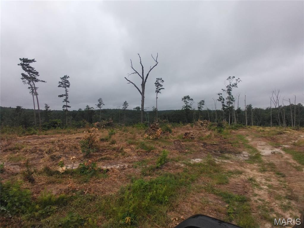 5 Tract 5 Off Hwy O Property Photo 5