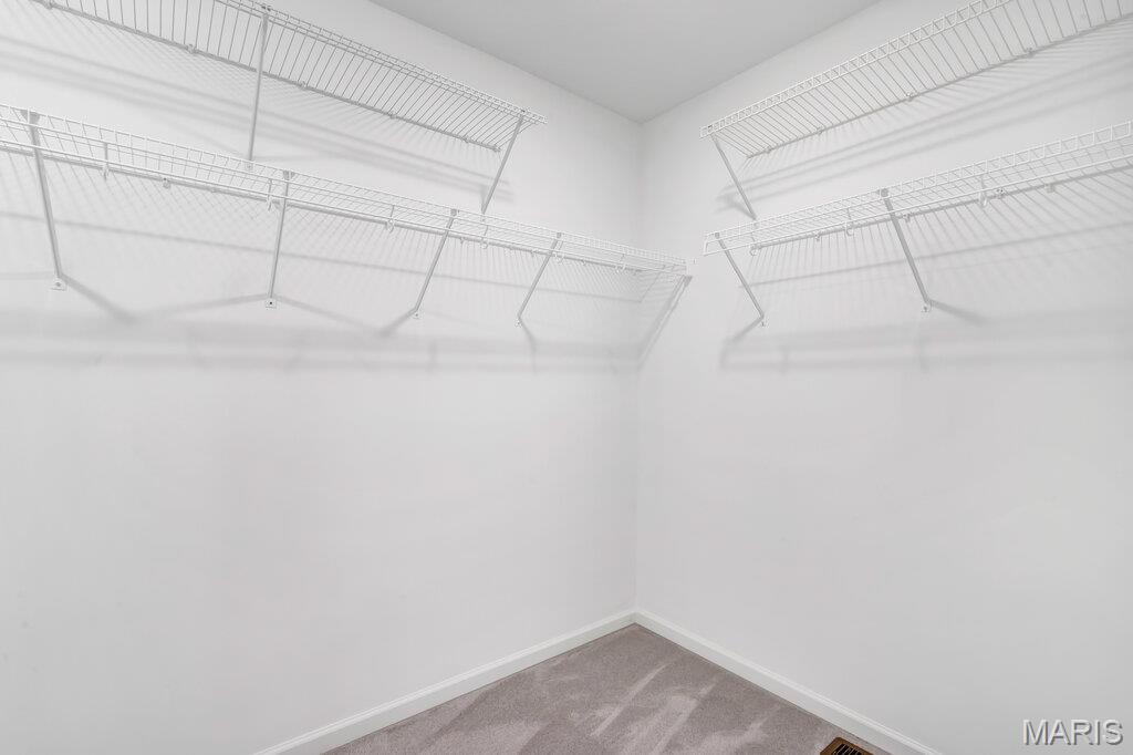 215 Cambium Court Property Photo 24