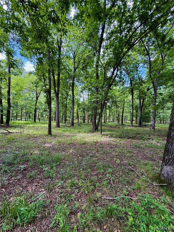 Tbd Se 800 Rd. T20 Property Photo 4