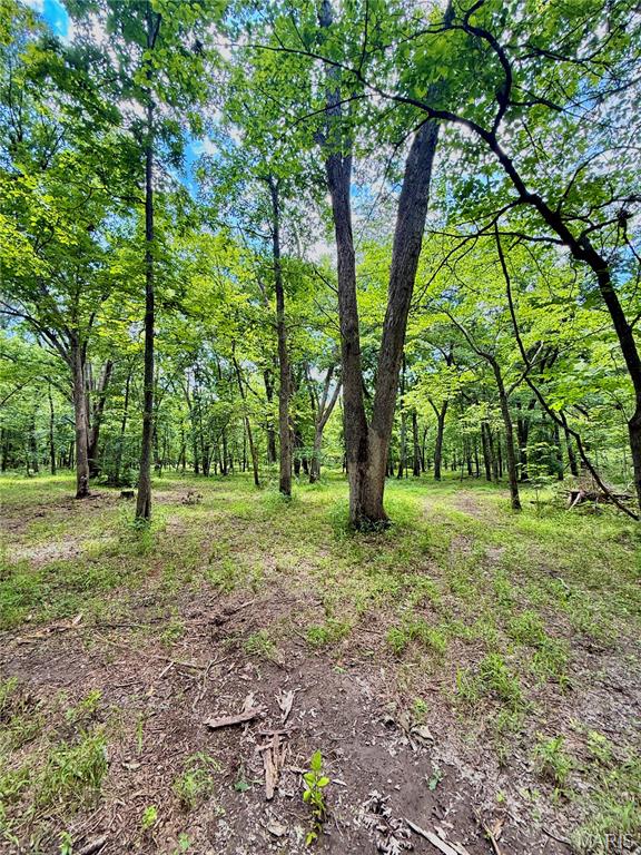 Tbd Se 800 Rd. T20 Property Photo 13
