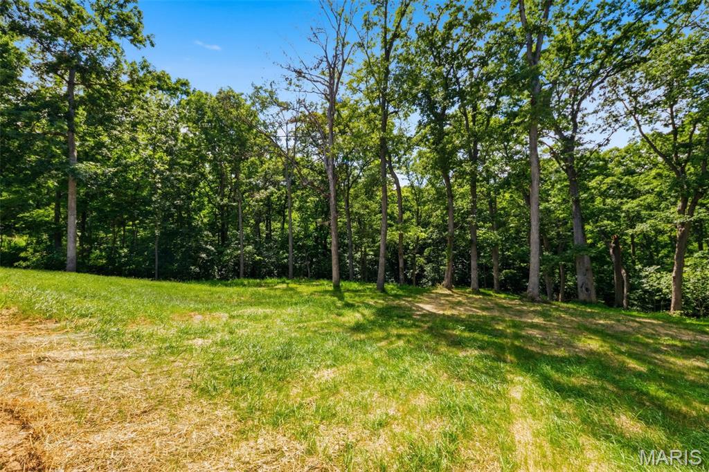 15 Woodline Drive Property Photo 57