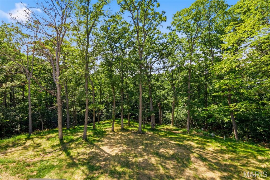 15 Woodline Drive Property Photo 59