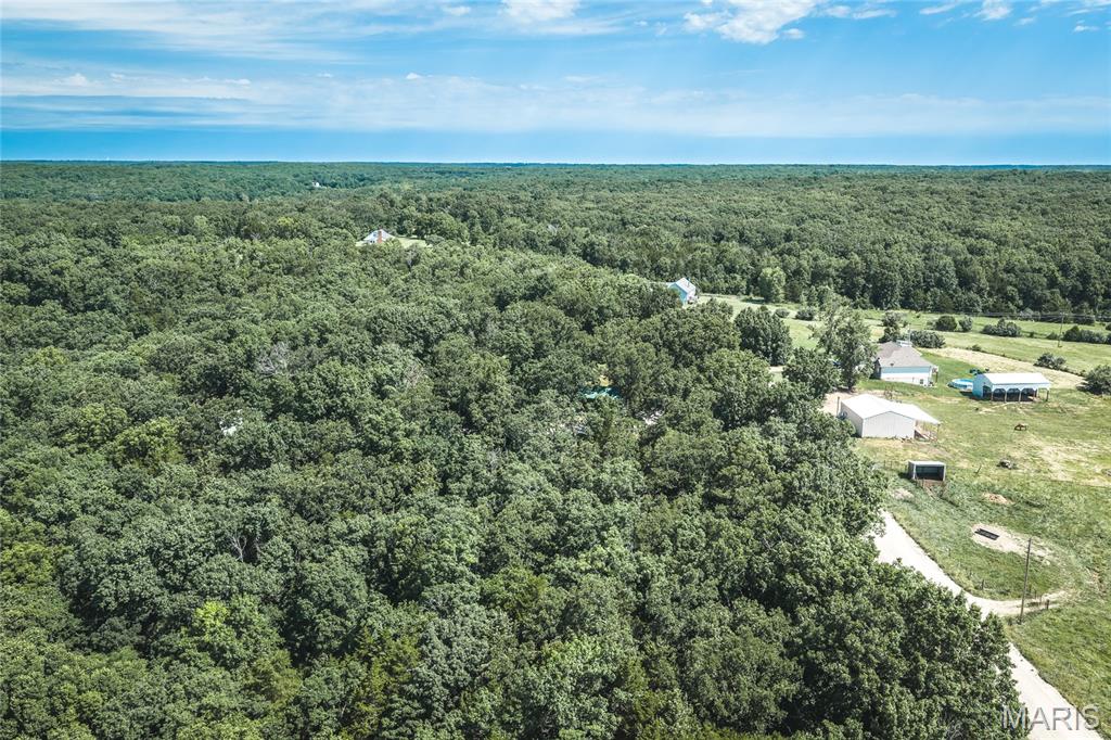 2384 Tea Road Property Photo 49