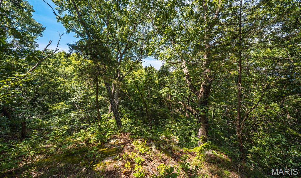 2384 Tea Road Property Photo 51