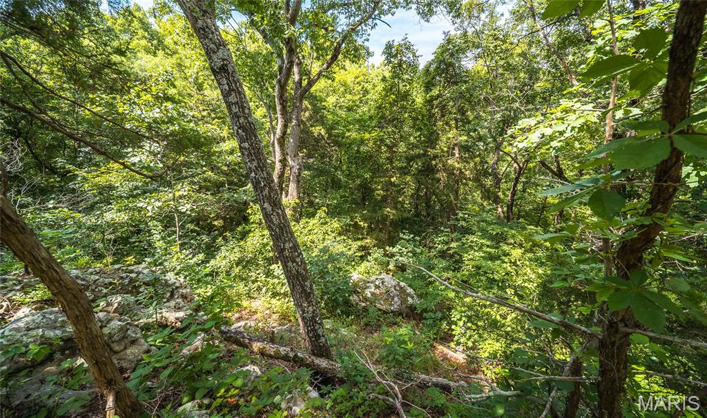 2384 Tea Road Property Photo 52