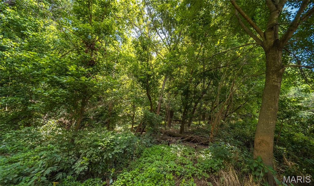 2384 Tea Road Property Photo 54