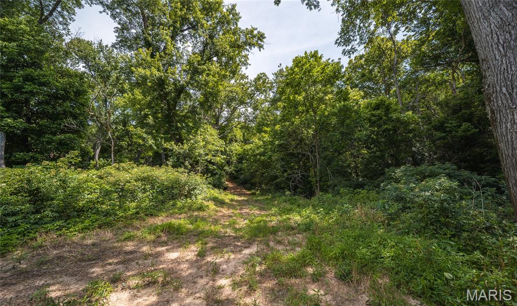 2384 Tea Road Property Photo 55