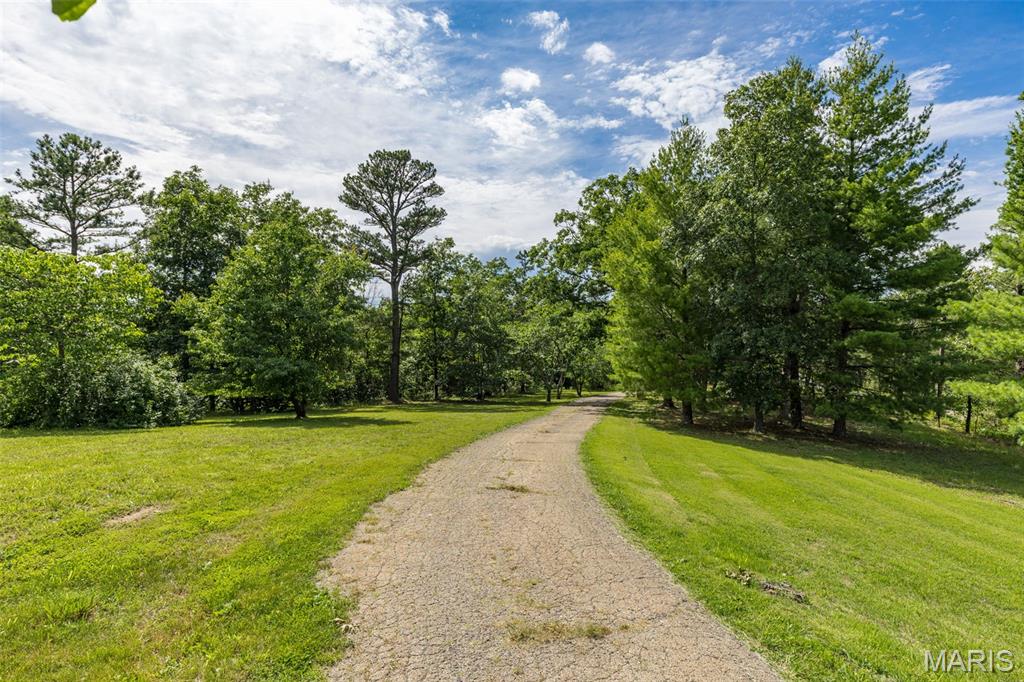 17606 Highway 21 Property Photo 28