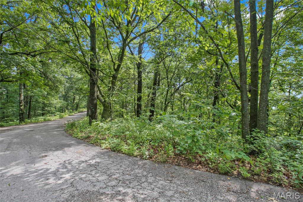 9 Acres Clermont Drive Property Photo 1