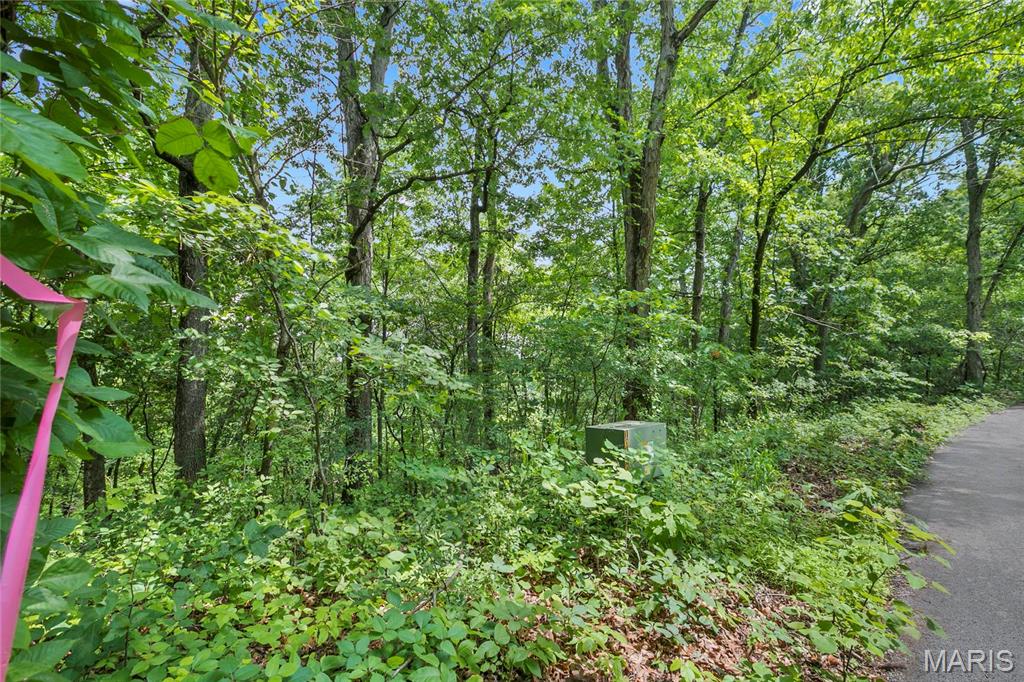 8.5 Acres Clermont Drive Property Photo 1