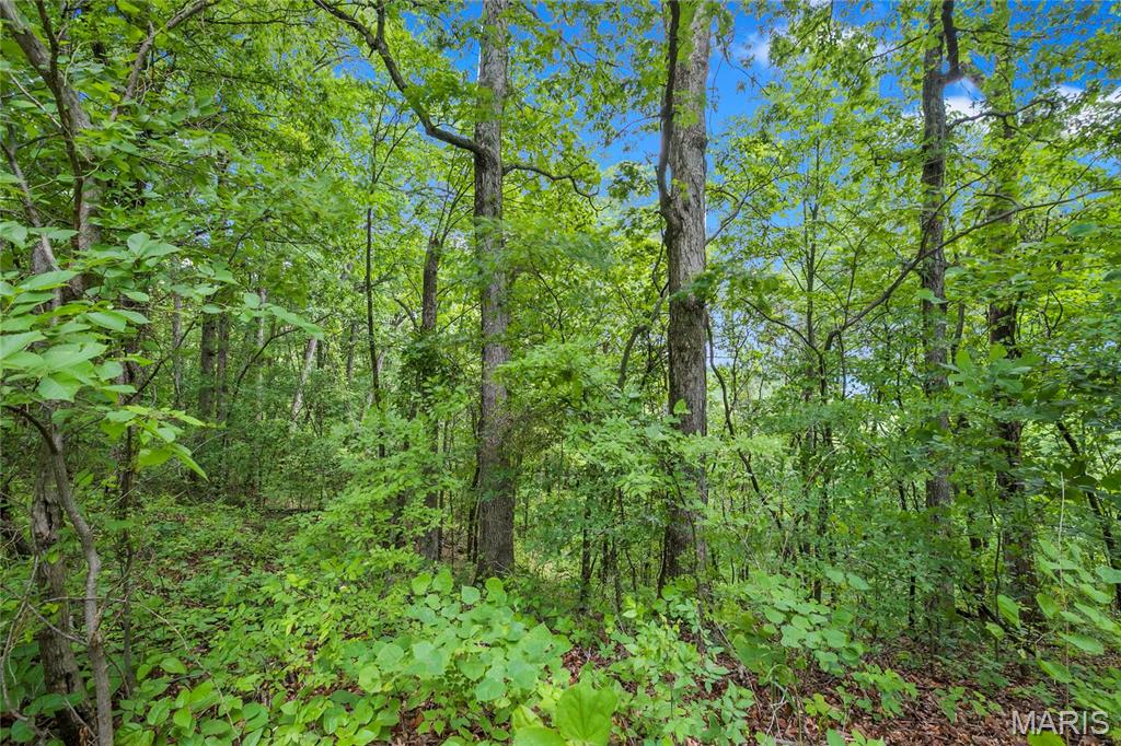 8.5 Acres Clermont Drive Property Photo 2