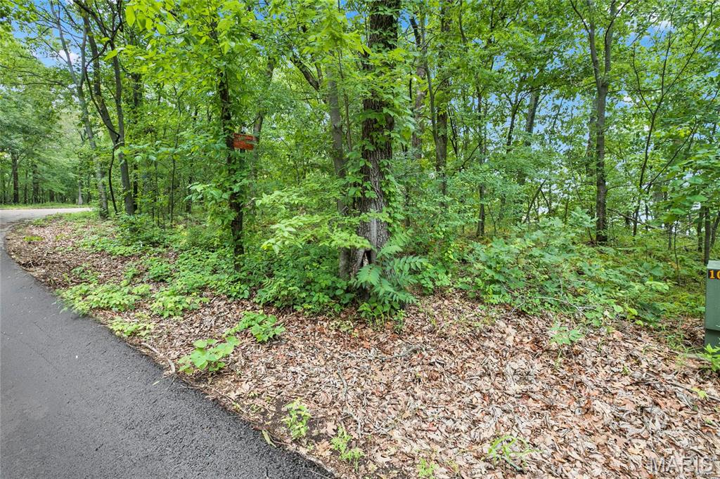 9.41 Acres Clermont Drive Property Photo 1