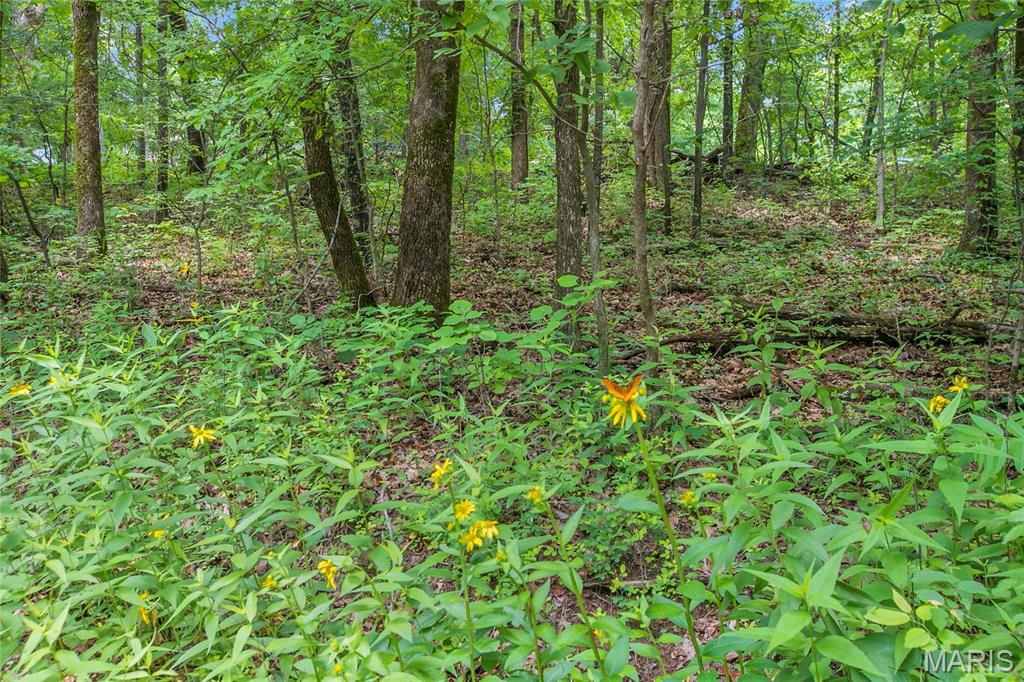 6.26 Acres Mississippi Queen Court Property Photo 2