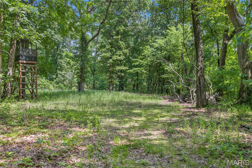 6.26 Acres Mississippi Queen Court Property Photo 3