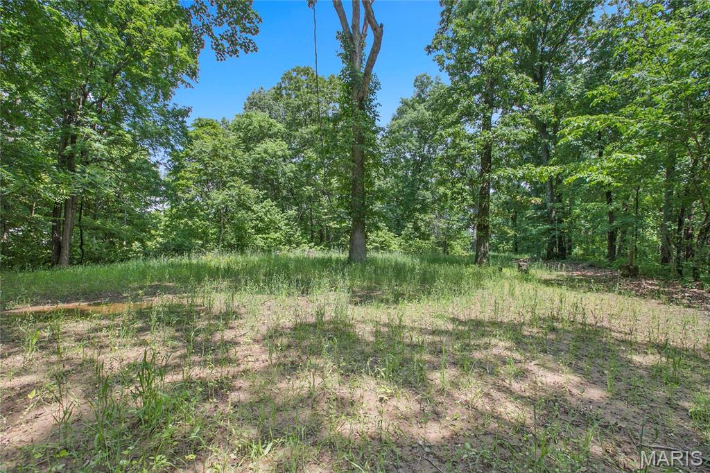 6.26 Acres Mississippi Queen Court Property Photo 4