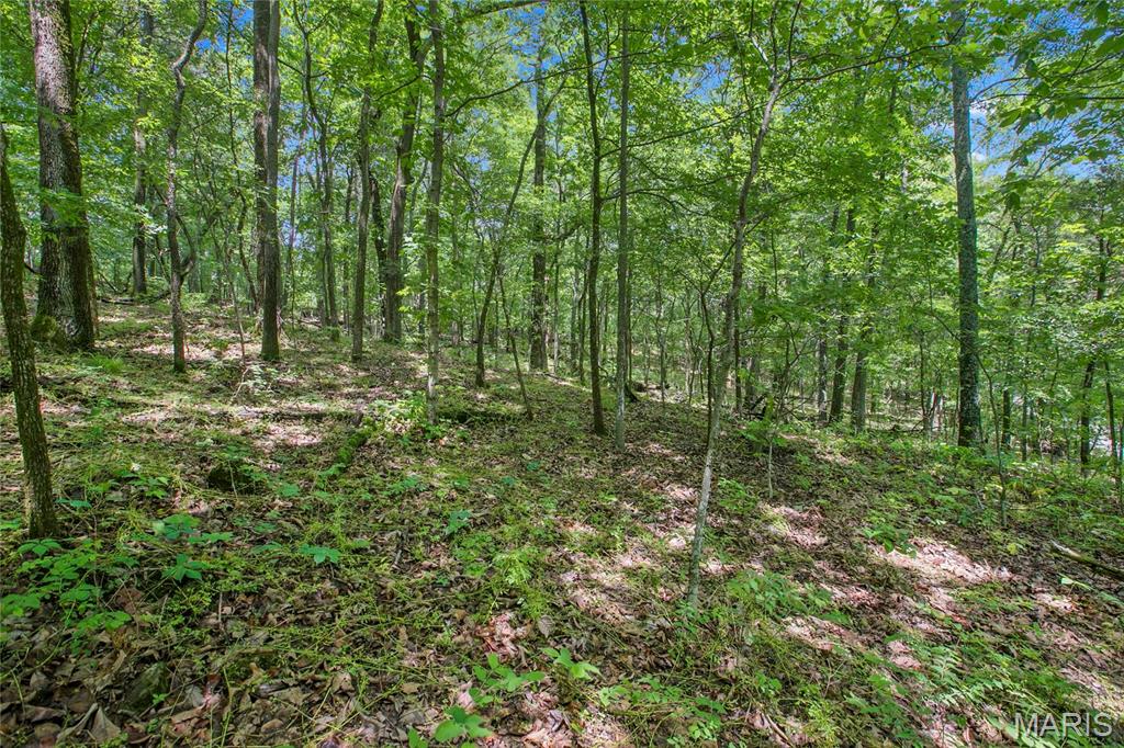 6.26 Acres Mississippi Queen Court Property Photo 5