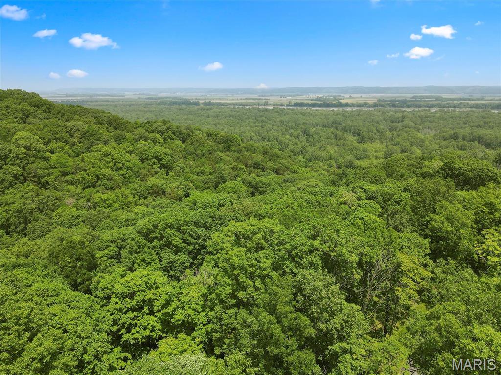 6.26 Acres Mississippi Queen Court Property Photo 6