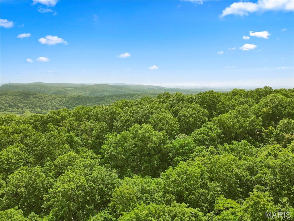 6.26 Acres Mississippi Queen Court Property Photo 7