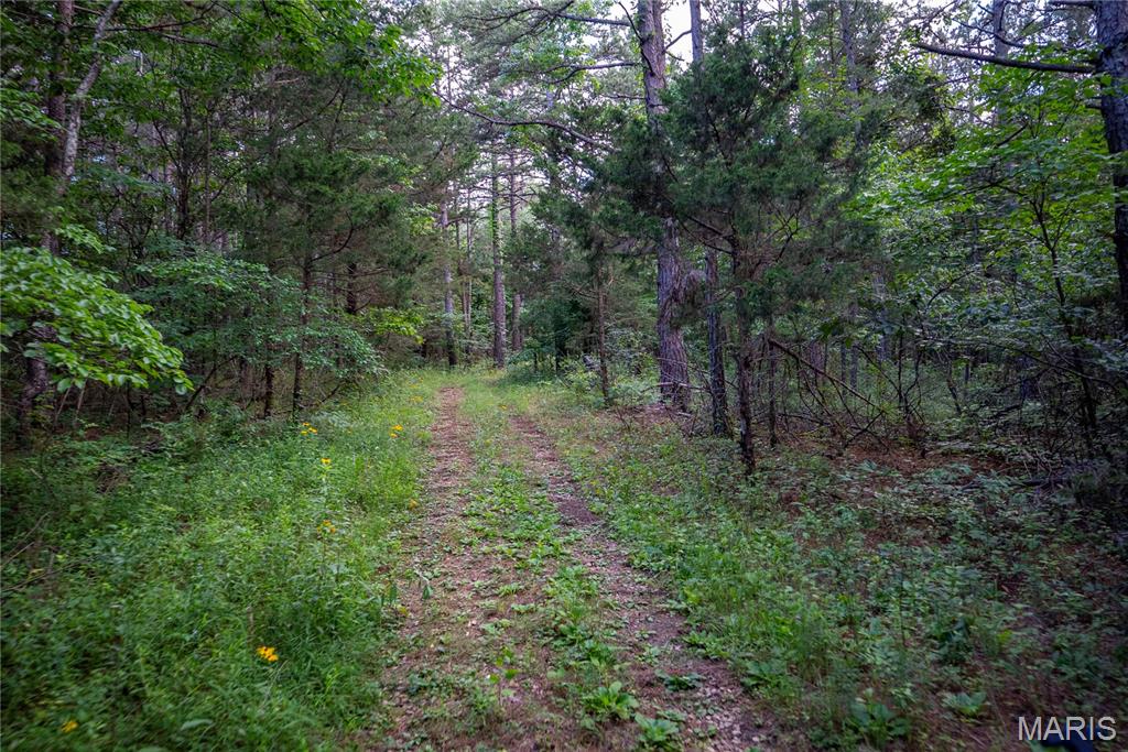 28094 Bcr 853 Property Photo 63