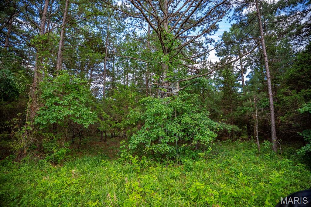 28094 Bcr 853 Property Photo 68
