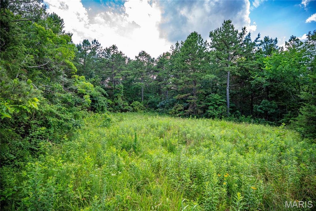 28094 Bcr 853 Property Photo 69