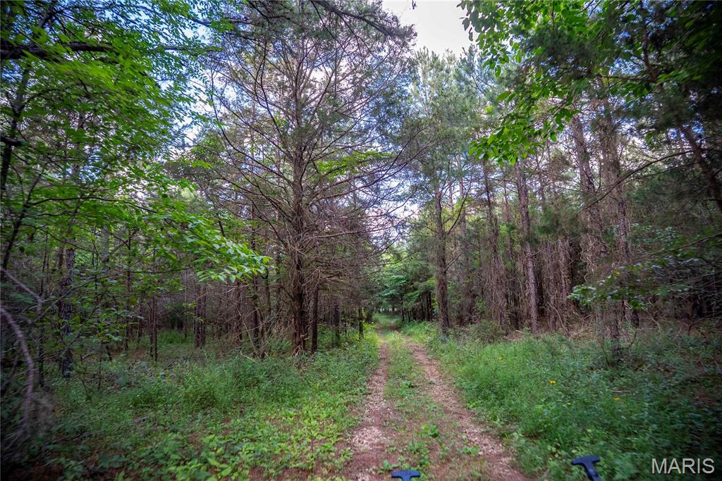 28094 Bcr 853 Property Photo 70