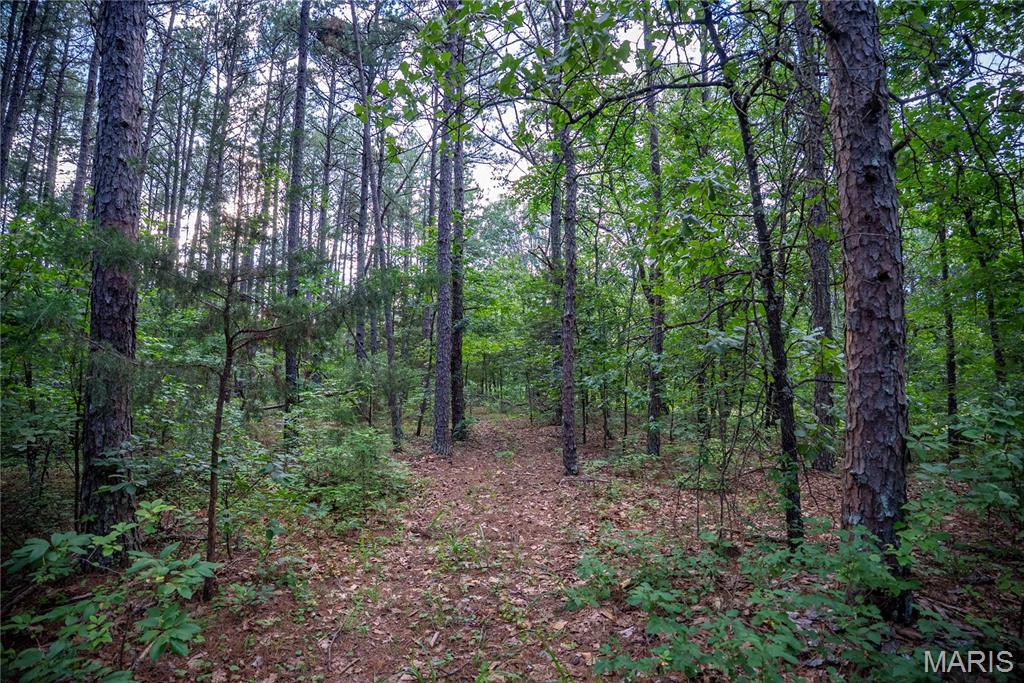 28094 Bcr 853 Property Photo 79