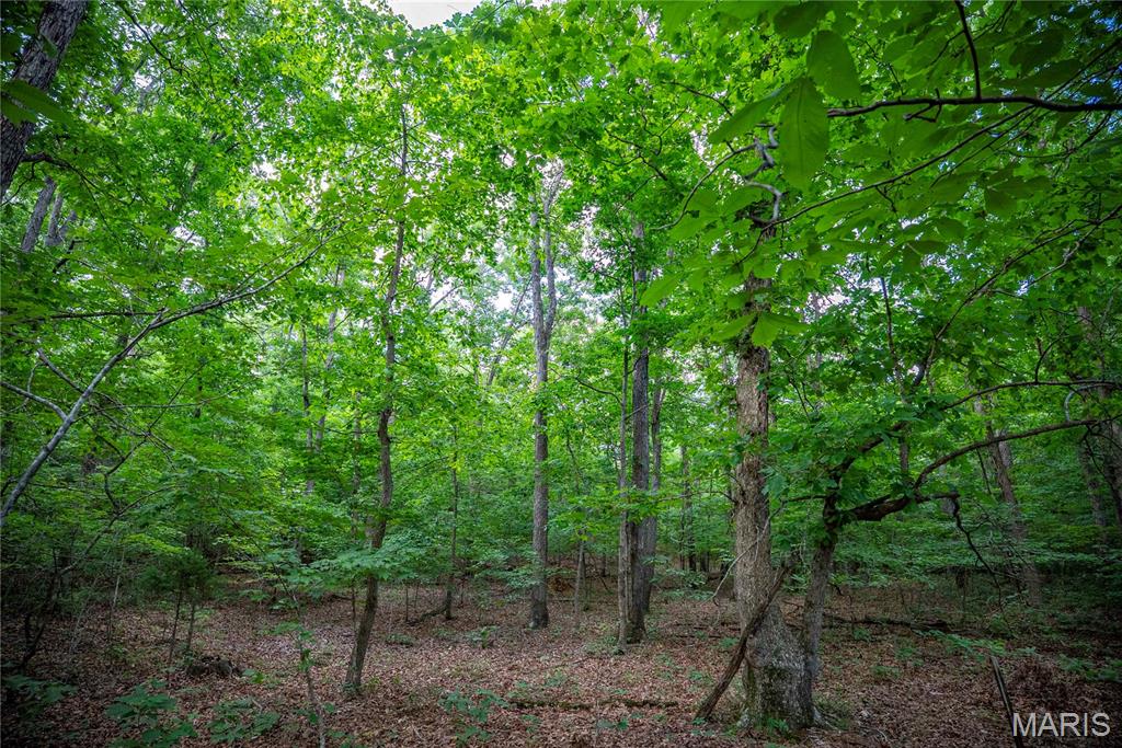28094 Bcr 853 Property Photo 88