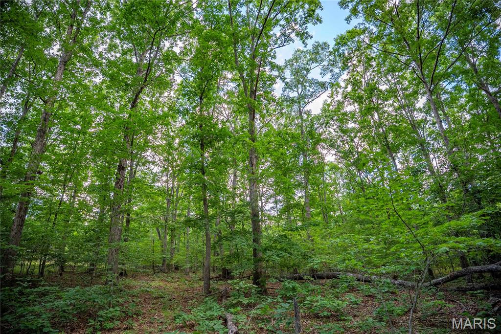 28094 Bcr 853 Property Photo 89